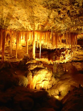 naracoorte-caves-mount-gambier