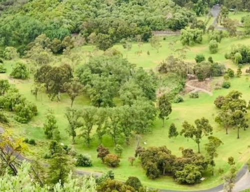 5 reasons why you should try disc golf in Mount Gambier