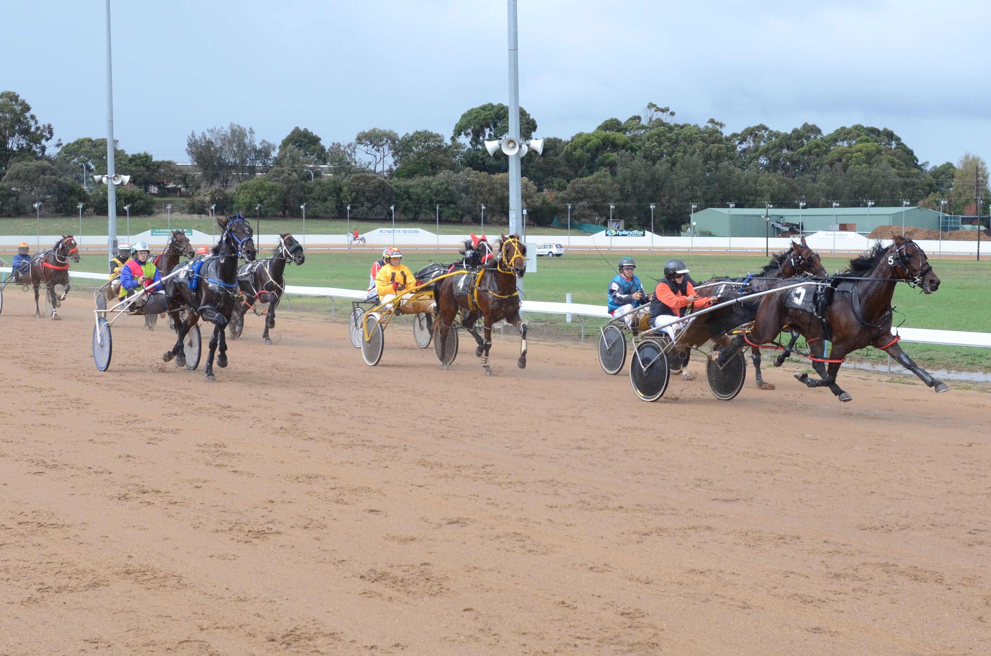 Mount Gambier Pacing Gold Cup