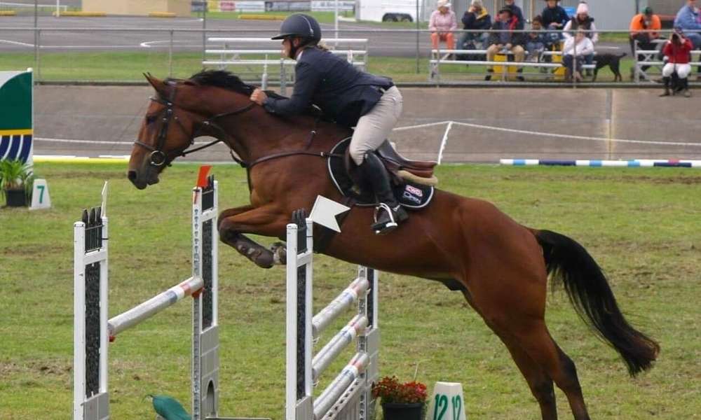 Showjumping Mount Gambier
